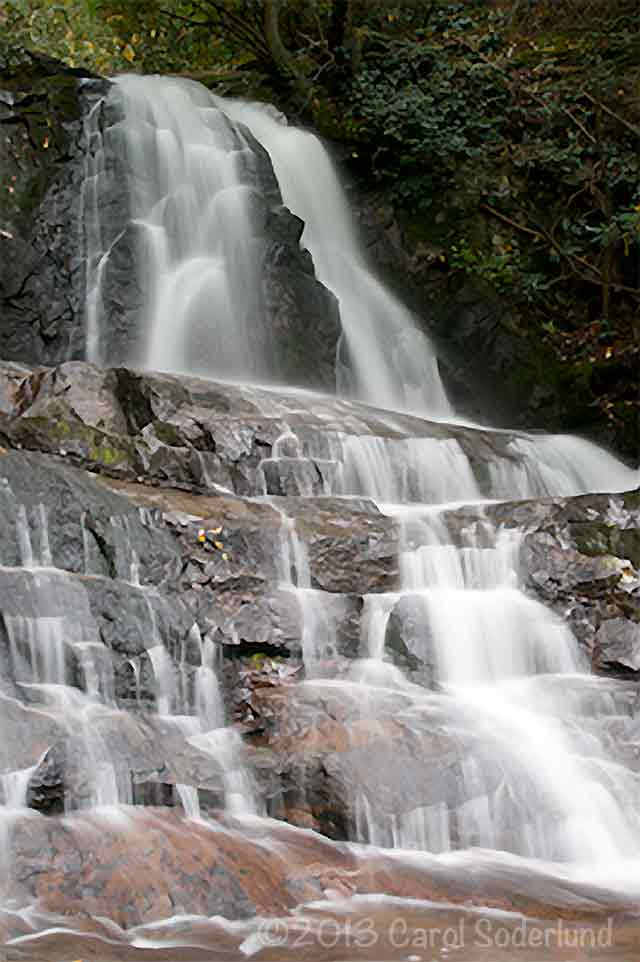 Laurel Falls