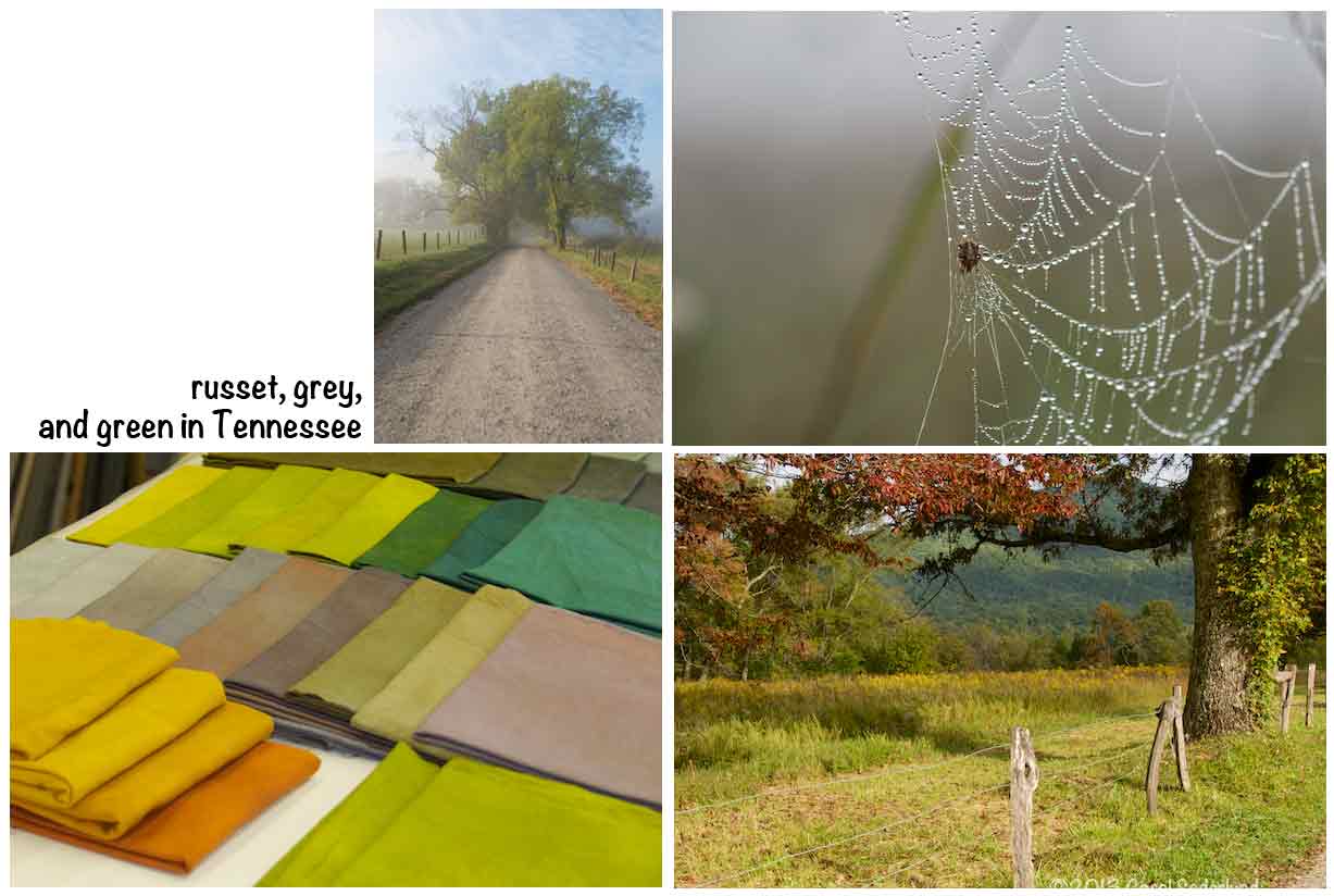 Wispy Webs of Fall in the great smoky Mountains