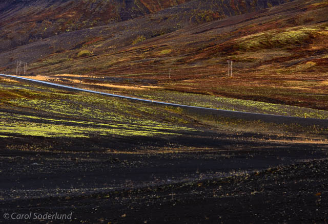 ...the low growing lichens streaking across the terrain