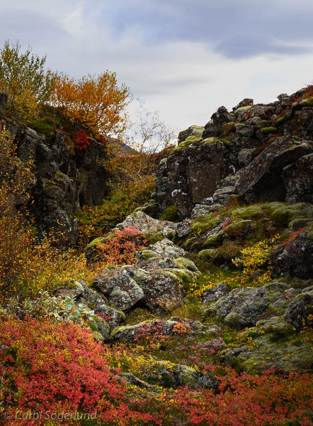 ...in the widening crevass where the continental plates divide