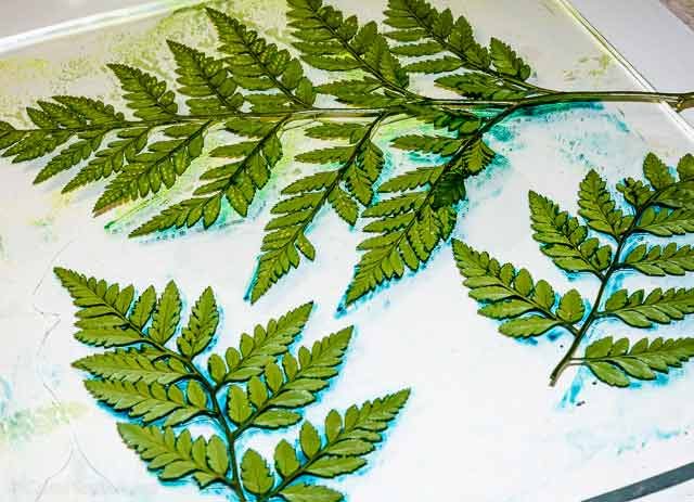 Monoprinting with ferns