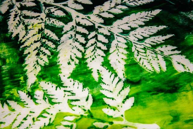 Fern Print