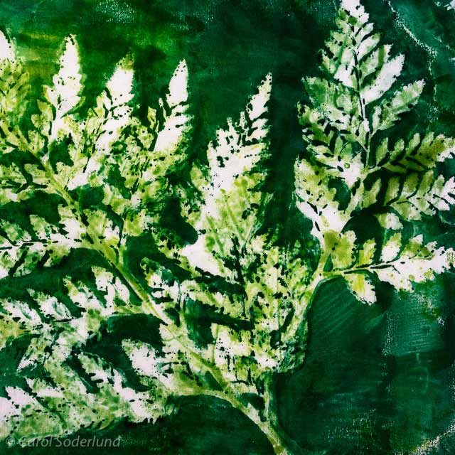 Fern Print