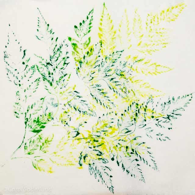 Fern Print