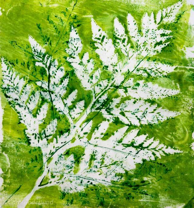 Fern Print